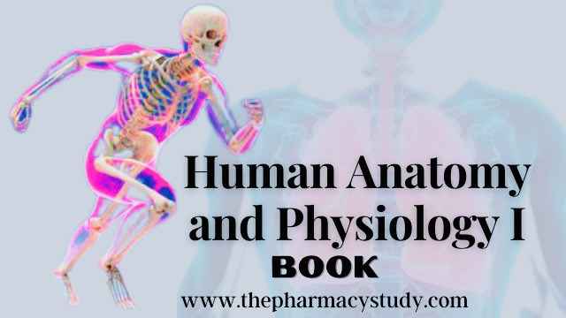 Human Anatomy And Physiology - ThePharmacyStudy.Com